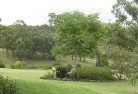 Drouin Southresidential-landscaping-40.jpg; ?>